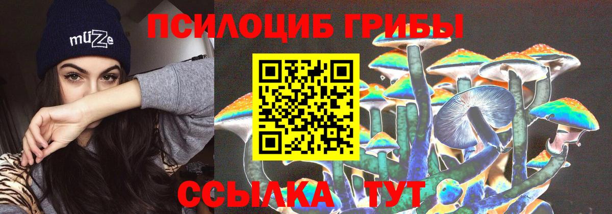 Псилоцибиновые грибы мицелий Тихорецк