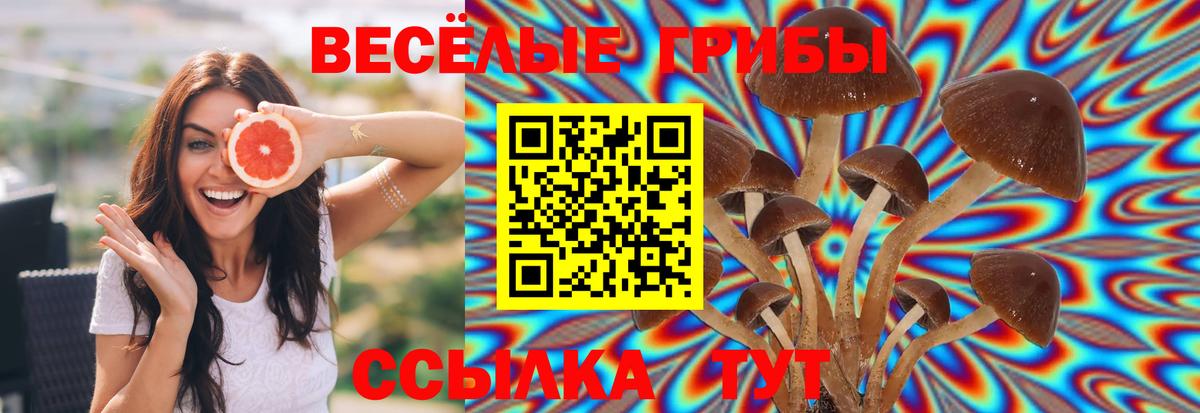 Псилоцибиновые грибы мухоморы  Вход с VPN  Галлюциногенные грибы Psilocybe  Тихорецк 